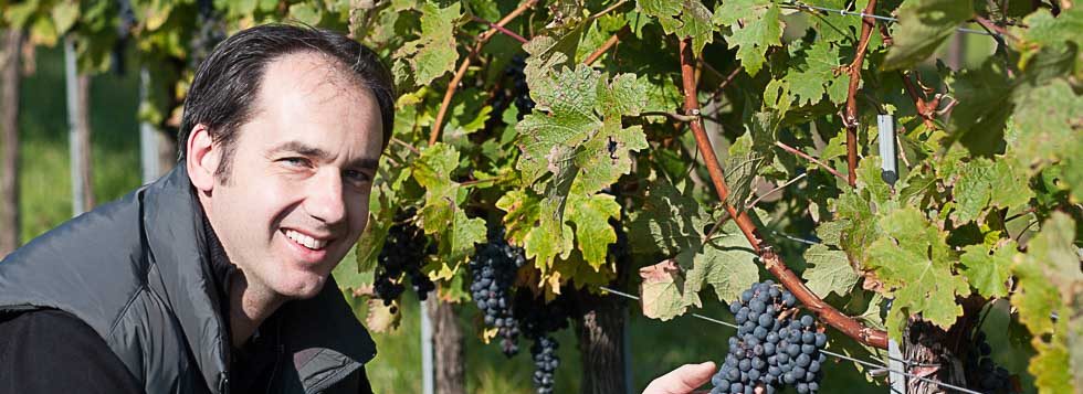 Weinbau Eder
