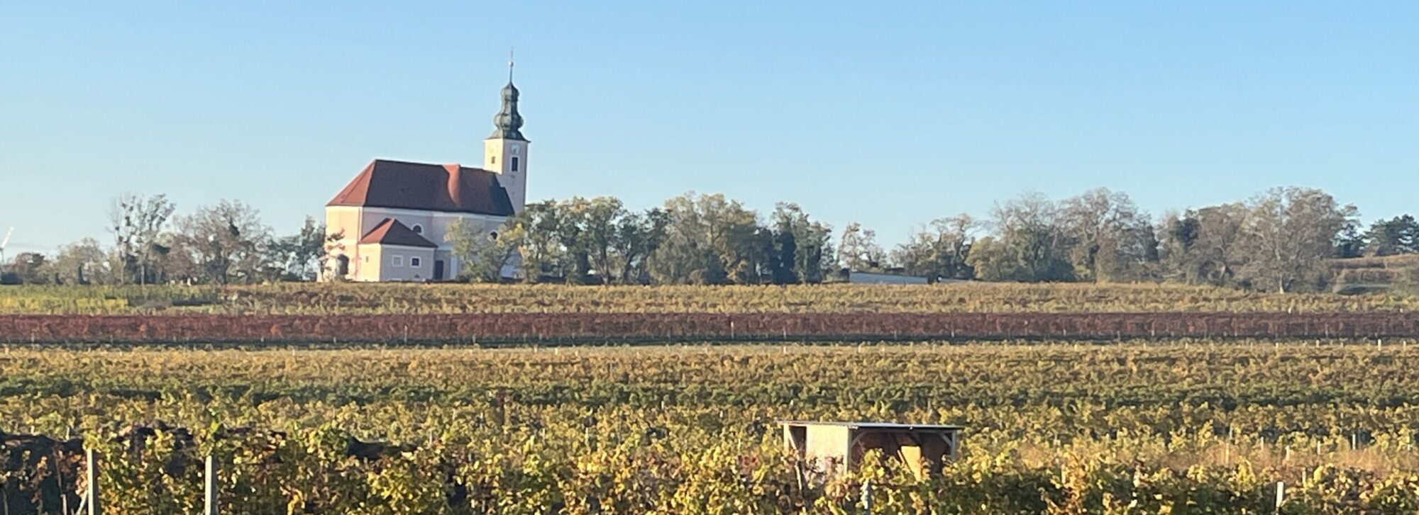 Weinbau Eder